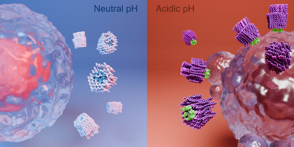 nanorobots-designed-by-the-karolinska-institutet-in-sweden nanorobot weapon cancer cell
