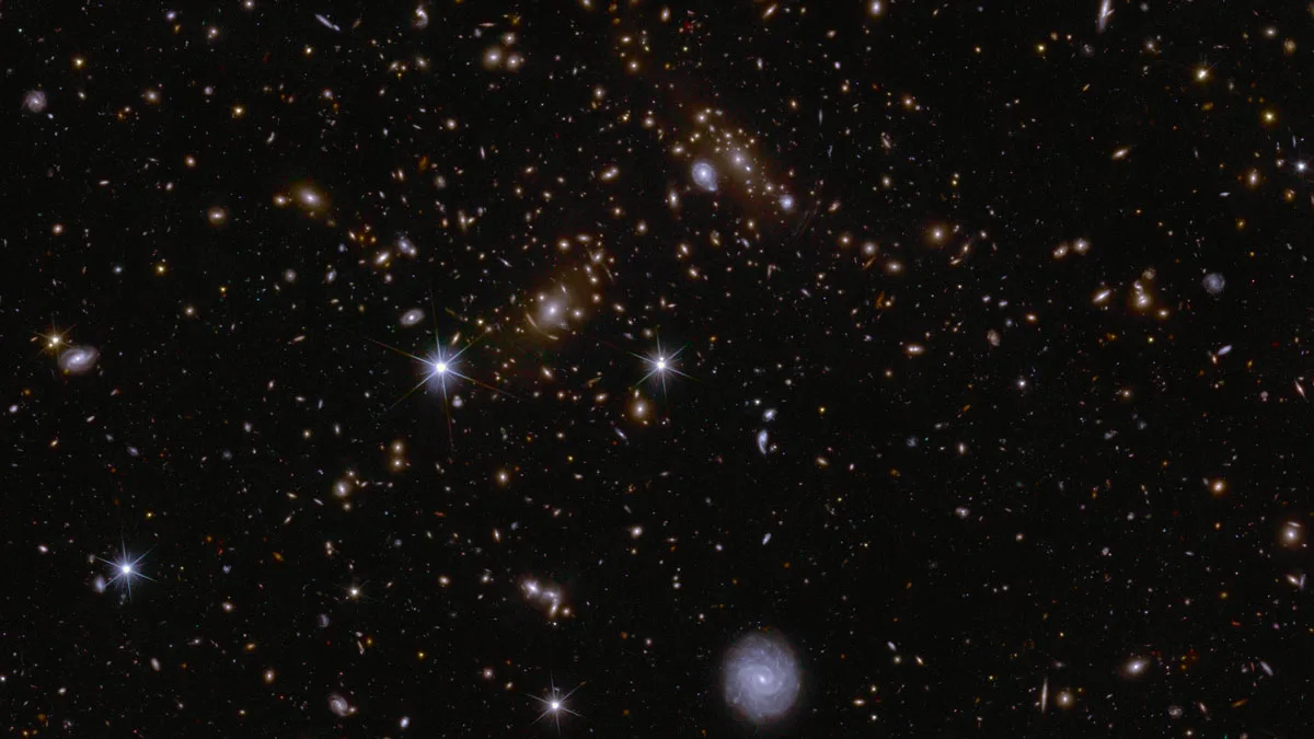ews-q1-edfs_clusters-r4-gal-4k2k-v8c A sea of galaxies of many different shapes and sizes, oriented in all directions and many with spiral arms visible. A large, nearby face-on spiral galaxy draws attention at the bottom centre of the image. Two bright stars in the centre and to the left are seen with prominent diffraction spikes. In between the two stars lie a lensed galaxy cluster, with arc-like smears surrounding the central bright galaxy cluster.