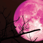 June’s full ‘Strawberry Moon’ illuminates the night sky next week: Here’s how to see it