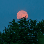 The Strawberry Moon is coming. How to see this record-breaking Moon meet Mars rival